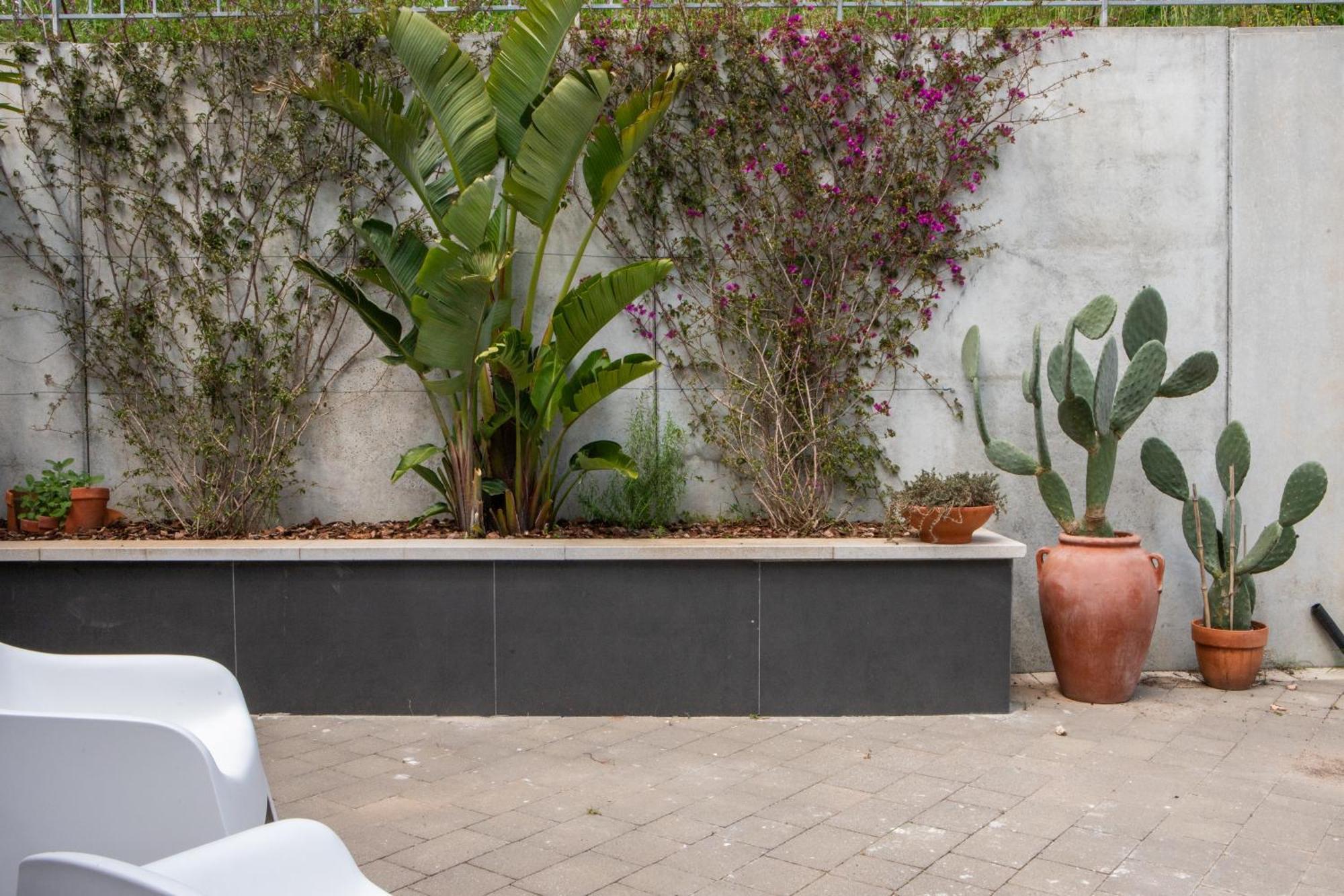 פוליקסטרו בוסנטינו Collimare Bed And Breakfast Golfo Di Policastro מראה חיצוני תמונה